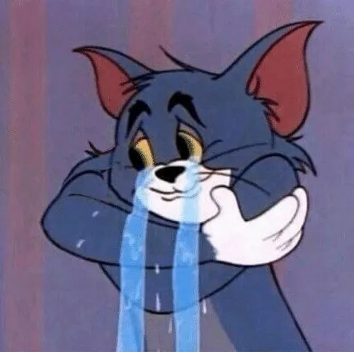 Hình meme vui tiếng thút thít nhỏ phát từ đổ vỡ nội tâm