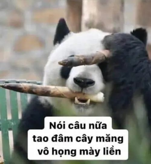 Hình meme hài nước mắt thuộc cảm xúc khi đổ vỡ nội tâm