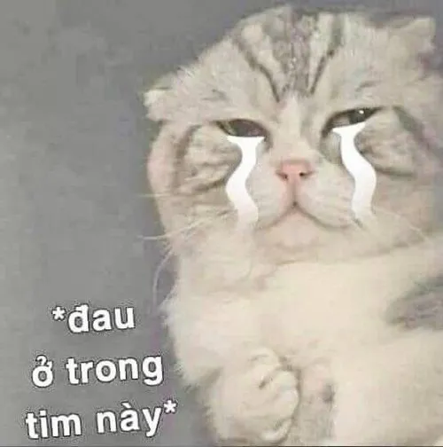 Meme chế môi run rẩy thể hiện day dứt tinh thần