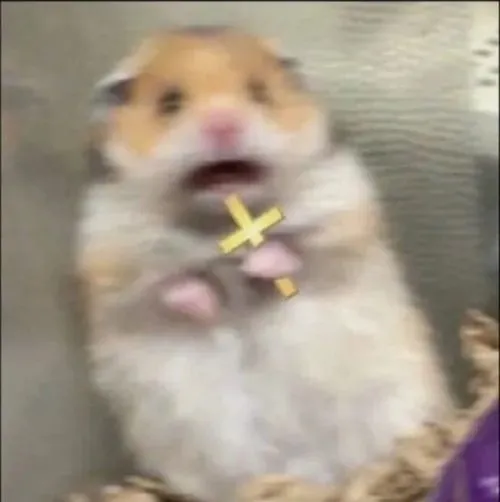 Ảnh chế Hamster khiếp đảm co rúm vì âm thanh lạ