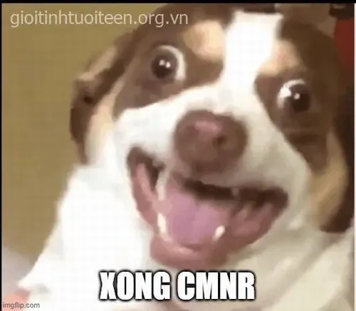 Ảnh chế biểu cảm khiếp đảm mất kiểm soát thoáng chốc