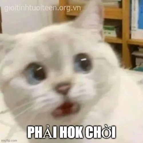 Ảnh troll khoảnh khắc hoảng loạn tái mét đầy lo âu
