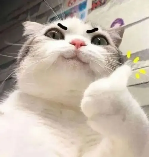 Meme chế mèo duyệt nhanh mô phỏng tai hướng lên và bàn chân đưa cao