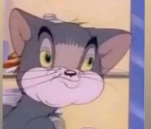 Pha gương mặt méo của Tom mô tả chuẩn vibe thua kèo