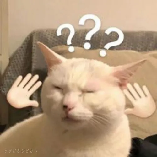 Hình meme hài mèo tai mèo cụp nhìn vừa tội vừa cute