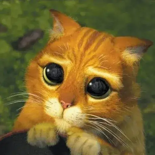 Ảnh vui bé mèo tạo liên tưởng tủi thân lúc trời âm