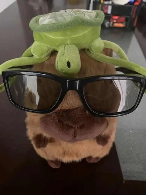 Ảnh meme tạo dáng Capybara đứng thẳng với thần thái ngầu.