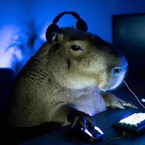 Ảnh meme run nhẹ Capybara lùi nửa bước vì kinh sợ.