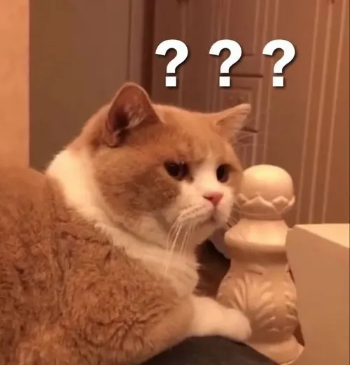 Ảnh troll nét miệng mở bất tin trong tình huống đảo chiều gấp