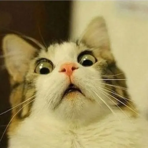 Meme phản ứng bất ngờ lan truyền nhanh như cú bật visual