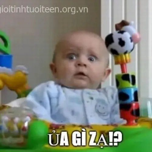 Meme cảm xúc bất ngờ lan truyền vì yếu tố gây sốc thăng hoa