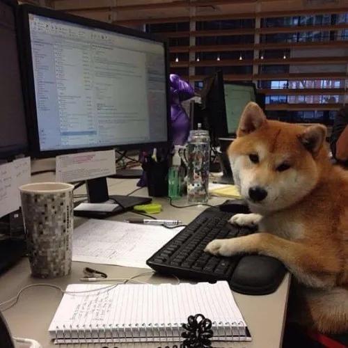 Tư thế cầm súng đồ chơi nhìn cực gắt