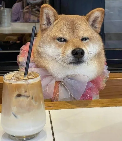 Liếc mắt một cái đầy thái độ nhẹ