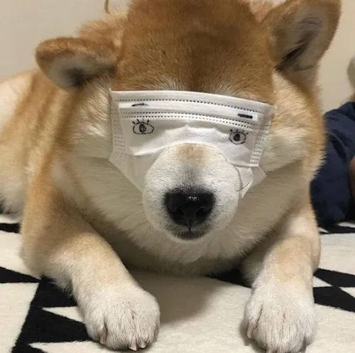 Nhón chân giơ “like” rất đáng yêu