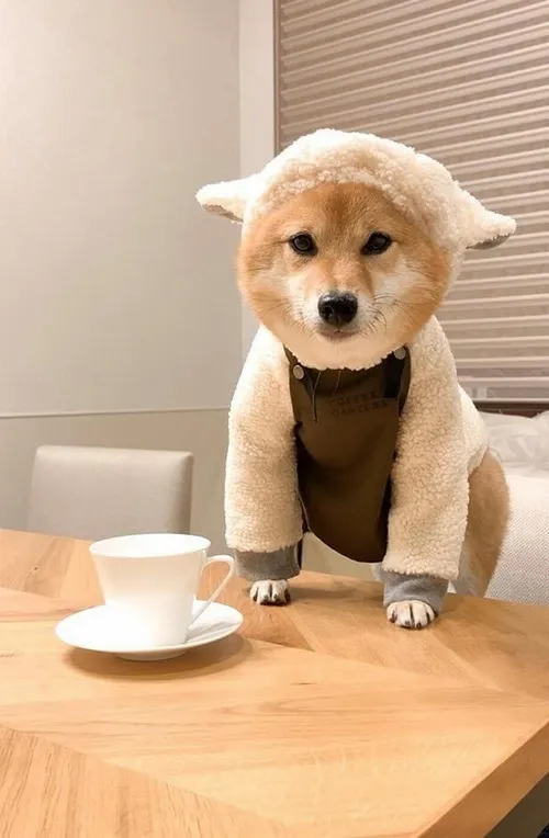 Run sợ co người lại đầy lo lắng