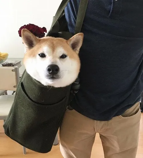 Cái thở dài chán nản nhìn vô định