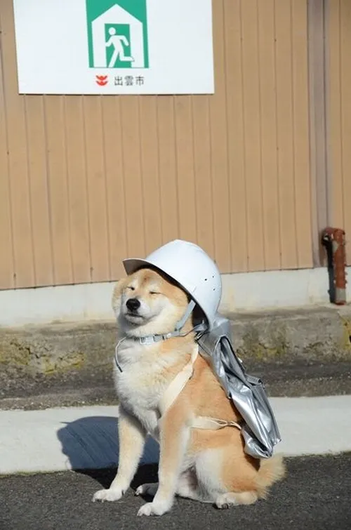 Nét mặt thất vọng rũ xuống từng chút