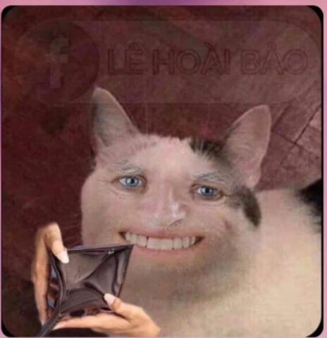 Meme mèo hết tiền nhe răng cười