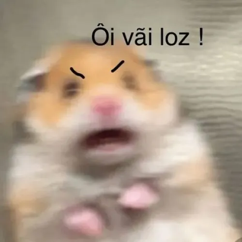 Loạt meme Hamster bất tin minh họa kiểu phản ứng bật ngửa trong tích tắc