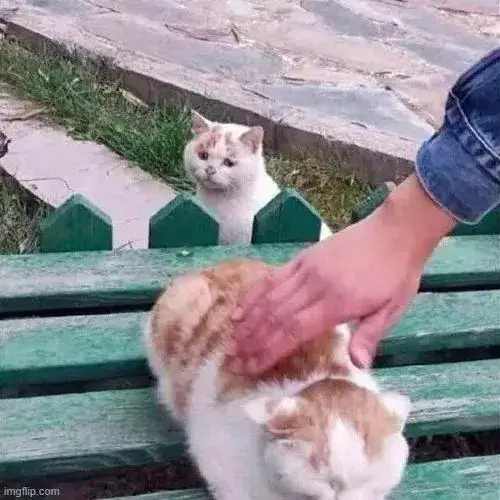 Mèo buồn bí xị tạo cảm giác tủi thân khiến dân mạng vừa thương vừa bật cười