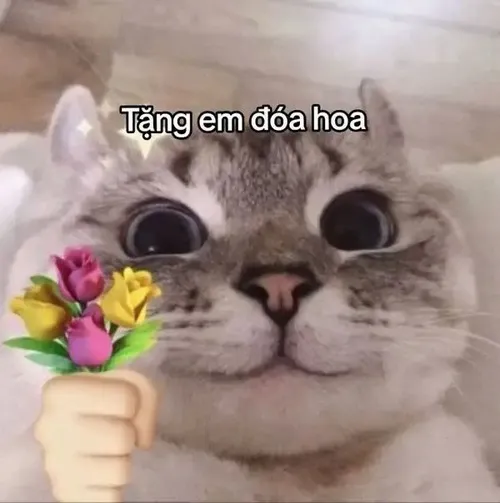 Hình chế meme vui mèo hí mắt đầy duyên ngầm khiến lòng vui nhẹ