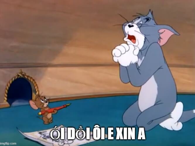 Tổng hợp Meme Quỳ lạy nhưng vẫn duyên: Những pha năn nỉ đi vào lòng đất