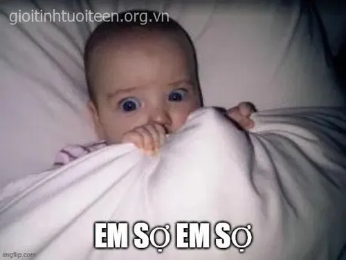 Meme chế khoảnh khắc hoảng loạn thót tim trước vật lạ