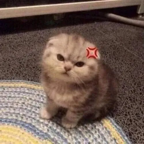Meme mèo tức giận thể hiện ánh mắt cáu kỉnh rất rõ ràng