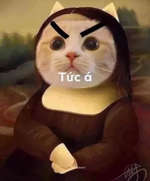 Meme hài lông dựng mép mô tả nhạy tiếng động khiến tai mèo giật liên tục