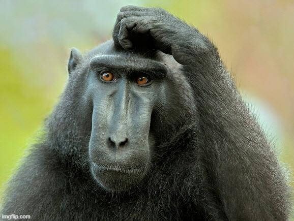 Meme Gãi Đầu: Biểu cảm ngại ngùng hoặc thắc mắc một cách hài hước khiến ai cũng cười