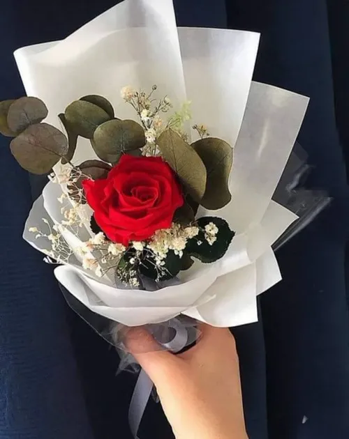 Ảnh vui đoá xinh mang màu tươi sáng.