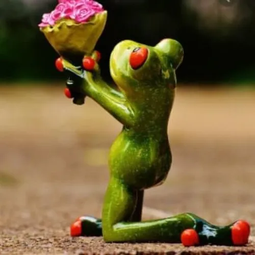 90 ảnh Meme Tặng Hoa cute phù hợp lúc bạn muốn nói yêu thương