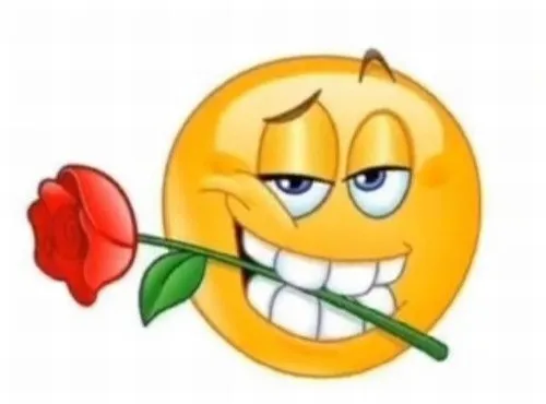 Khoảnh khắc meme hoa cúc vàng gửi lời dịu tới ai đó