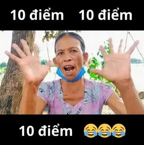 Meme khen 10 điểm không có nhưng hợp cho các pha cà khịa nhẹ nhưng vẫn giữ nét duyên