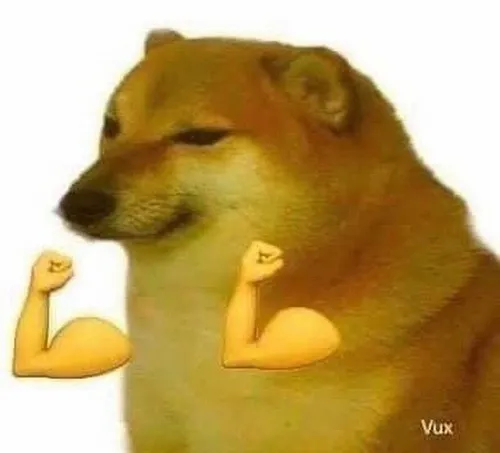Meme chế Cheems cơ bắp gắn với gương mặt bầu của chó Shiba