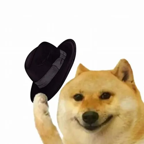 Meme chế Cheems liếc nhẹ bằng ánh mắt tròn long lanh đáng yêu