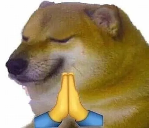 Khoảnh khắc Cheems nhếch môi toát lên phong thái ngố trứ danh