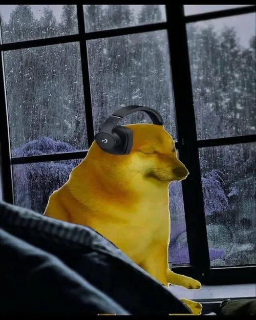 Ảnh chế Shiba ghê tởm bằng gương mặt bầu và nụ cười méo