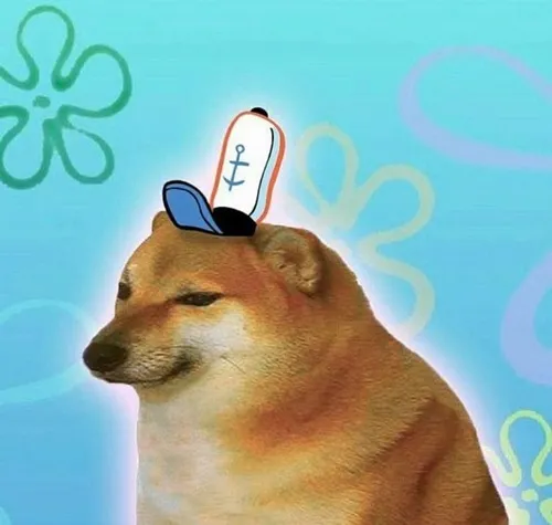 Ảnh vui Shiba buồn nhẹ với ánh mắt tròn long lanh