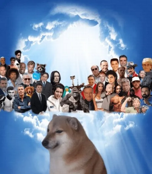 Khoảnh khắc Cheems ôm đầu gợi dáng ngồi khép nép mệt mỏi tinh tế