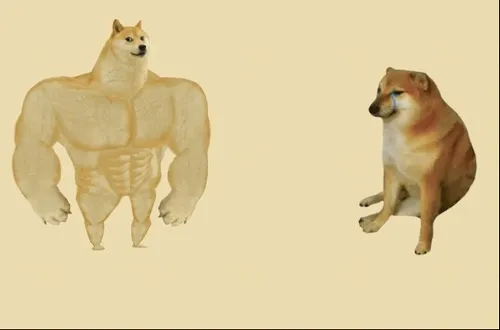 Khoảnh khắc Cheemsburger cơ bắp gợi liên tưởng cách nói méo âm duyên