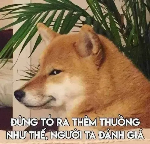 Meme chó ôm đầu trông như đang suy nghĩ chuyện lớn