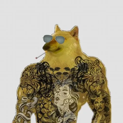 Ảnh vui chú nhỏ từ chối quay đầu né nhẹ bàn tay