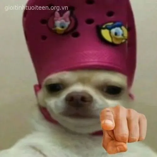 Meme chế tái hiện Chỉ tay truyền cảm xúc qua động tác duy nhất