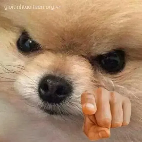 Khi biểu cảm gương mặt hòa cùng hành động chỉ tay tạo hiệu ứng hài