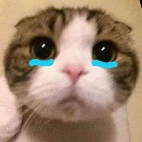 Ảnh vui sụt sịt thả trôi cảm giác trống trải thoáng qua