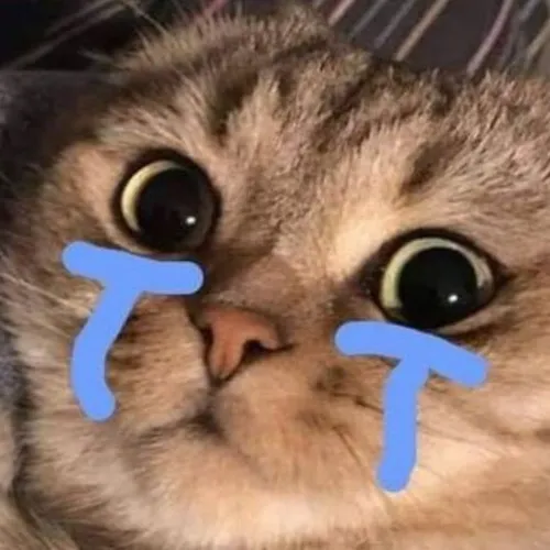 Ảnh vui sụt sịt khơi mạch cảm xúc giữa không gian lặng