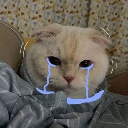 Ảnh troll sụt sịt gợi cảm giác trống trải qua ánh mắt