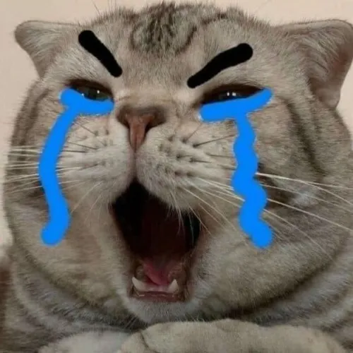 Hình troll buồn rầu khơi day dứt nhẹ qua chóp đuôi