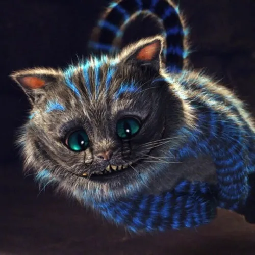 Hình meme vui mèo nép góc thể hiện tai cụp đặc trưng